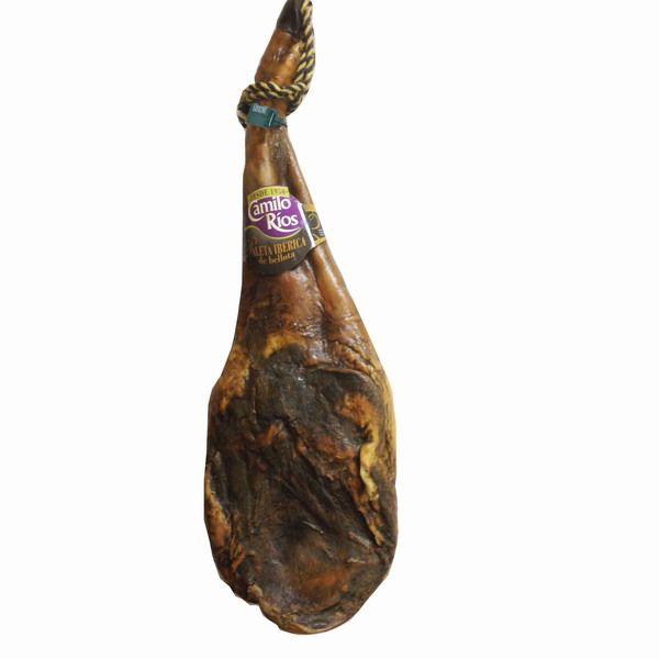 paletilla iberica